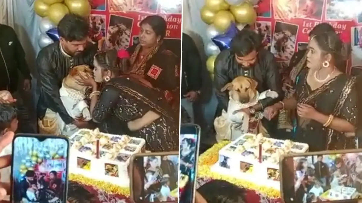 Amazing birthday: एक शख्स ने धूमधाम से मनाया कुत्ते का जन्म दिवस, Birthday Party में 300 लोगों को दिया निमंत्रण, सोने का लॉकेट किया गिफ्ट