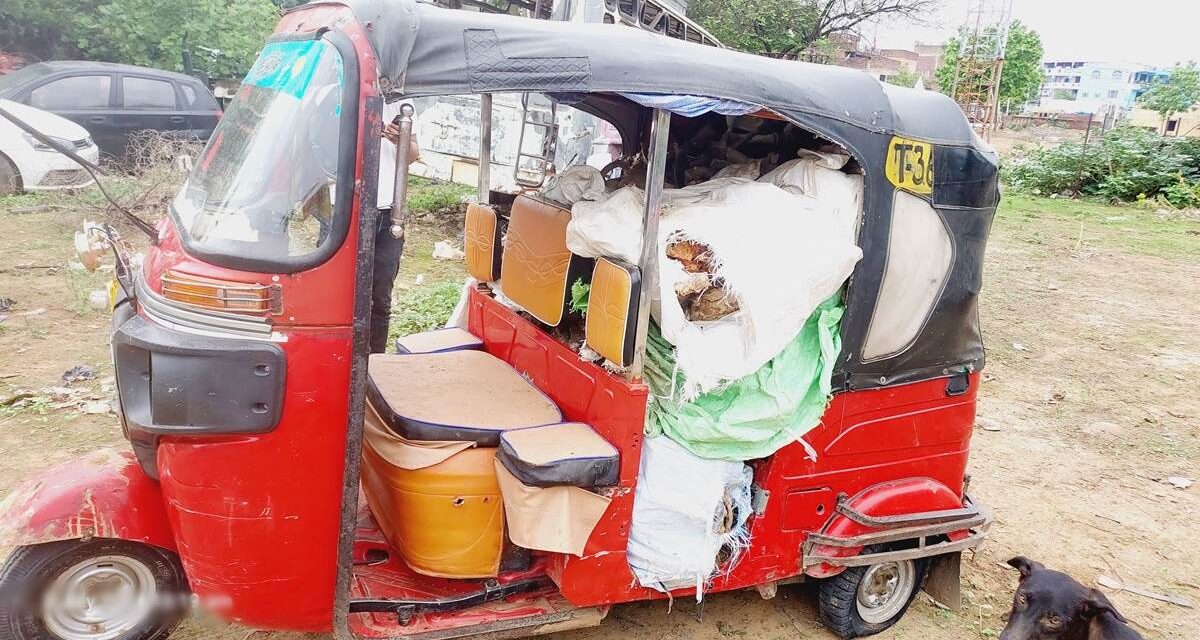 अंबाह में ऑटो से गोवंश के कंकाल और खाल जब्त, तीन लोगों पर मामला दर्ज