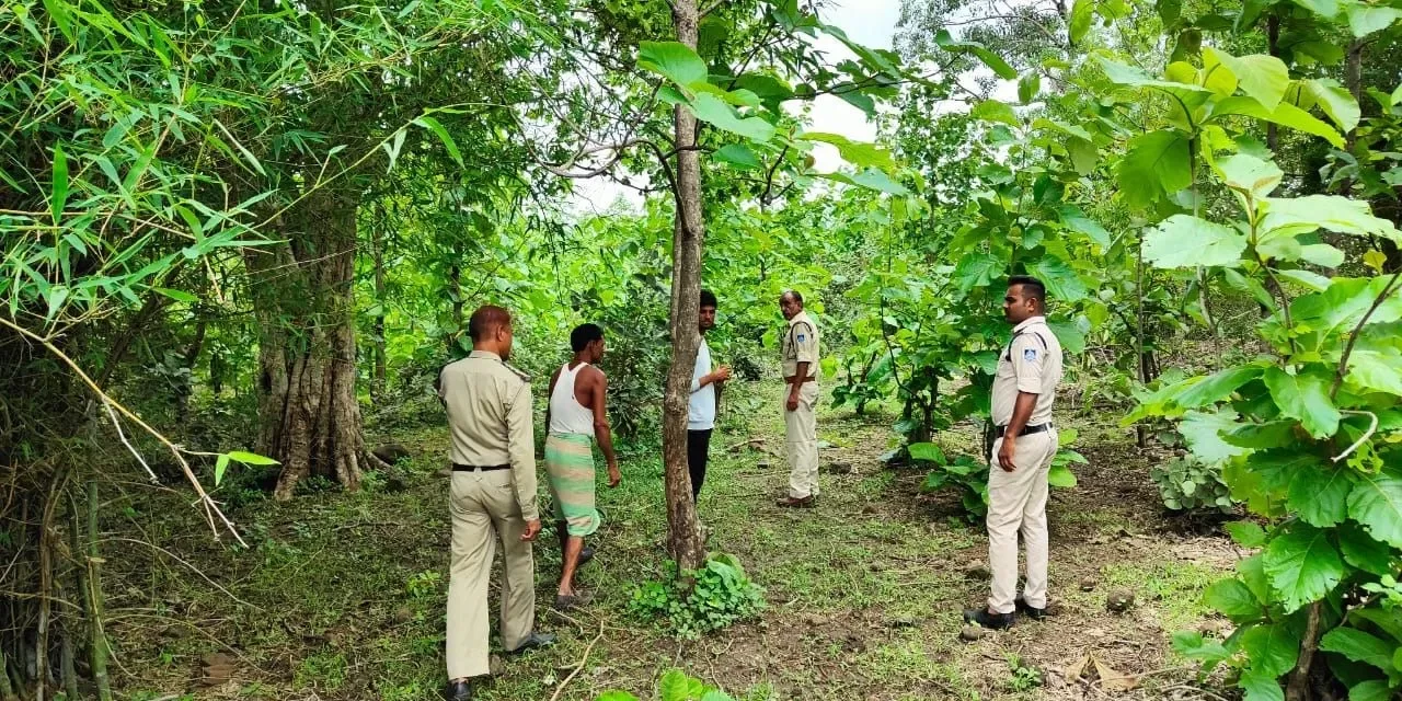 जंगल में छिप गया कातिल! लड़की का मर्डर कर हुआ है फरार, 40 घंटे से तलाश रही पुलिस