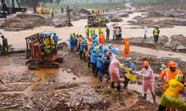 300 लोगों की मौत के बाद वायनाड को मिलेगा ग्रीन प्रोटेक्शन, जानें क्या होता है ये