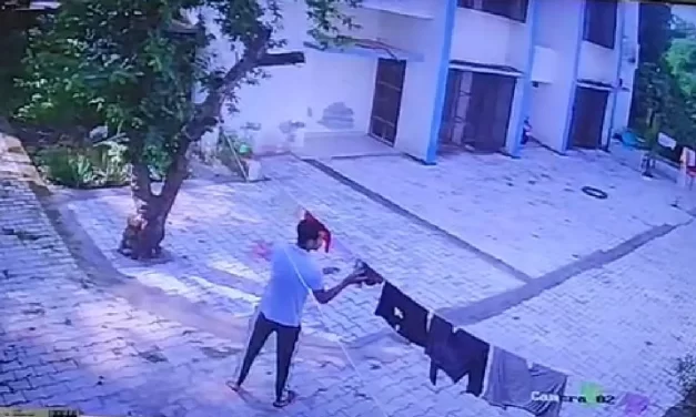 न कैश न गहने, सिर्फ महिलाओं के अंडरगार्मेंट्स चुराता… CCTV में कैद हुआ ये सनकी चोर