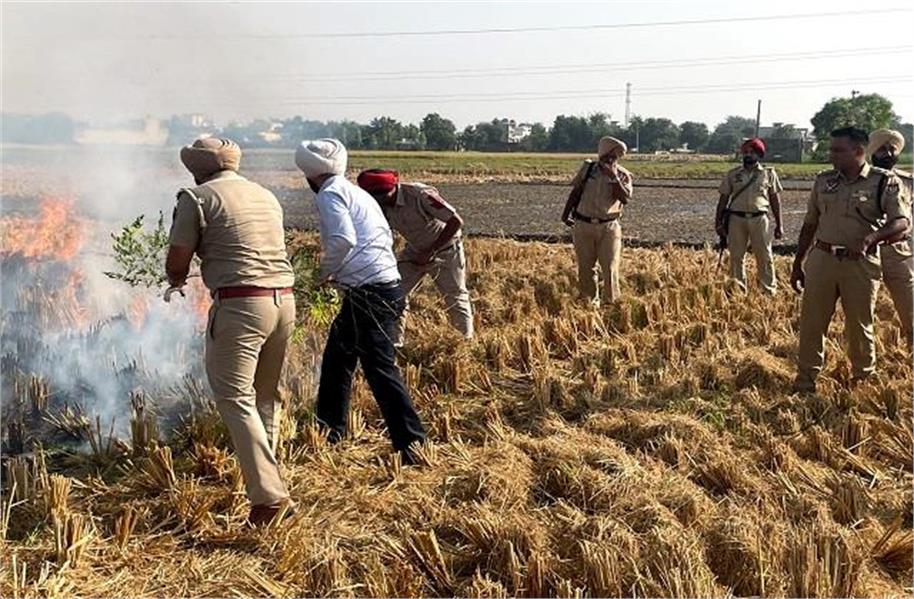 पराली में आग लगाने को लेकर एक्शन मोड में प्रशासन, अधिकारियों ने खुद संभाला मोर्चा