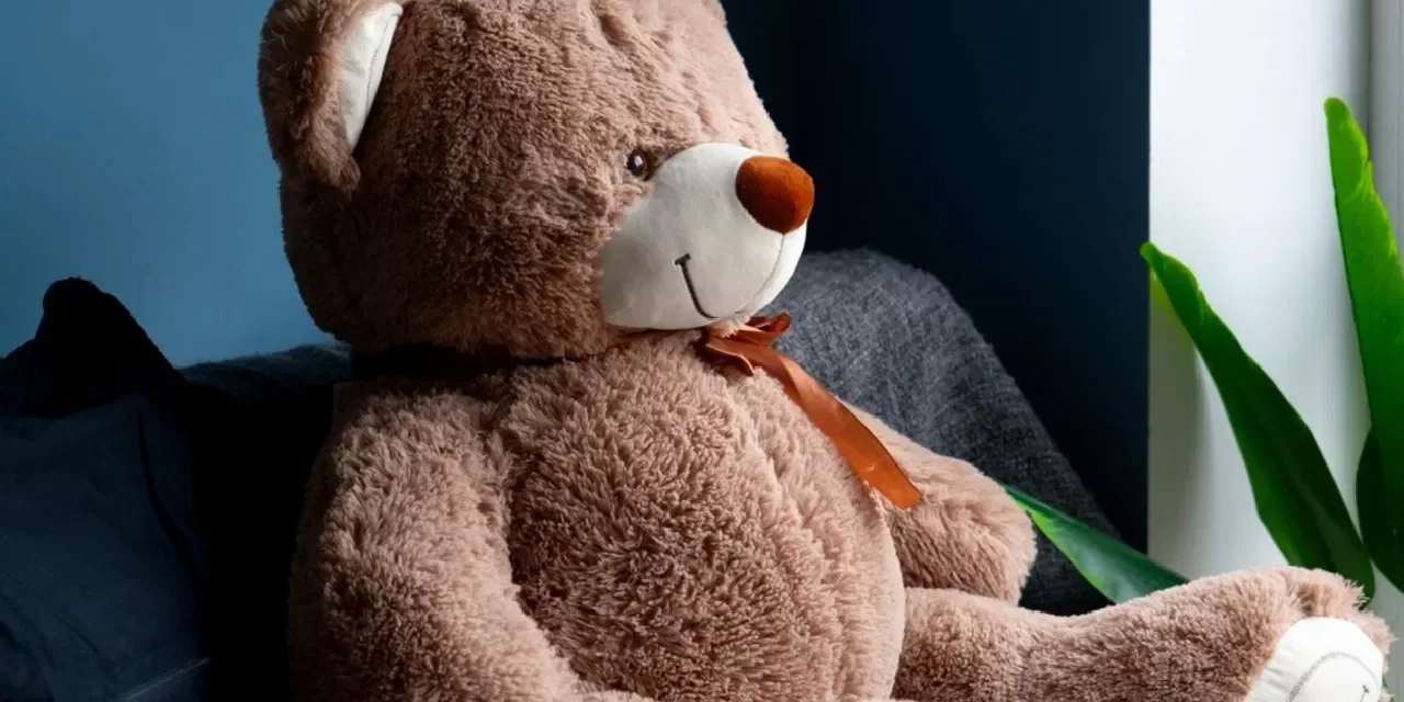 Teddy Day पर पार्टनर को दें सांस लेने वाला गुड्डा, इतनी है कीमत