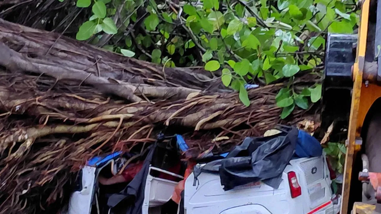 कानपुर में तेज आंधी-तूफान का तांडव! ऑटो पर गिरा बरगद का पेड़, 2 की मौत कानपुर में तेज आंधी-तूफान का तांडव! ऑटो पर गिरा बरगद का पेड़, 2 की मौत