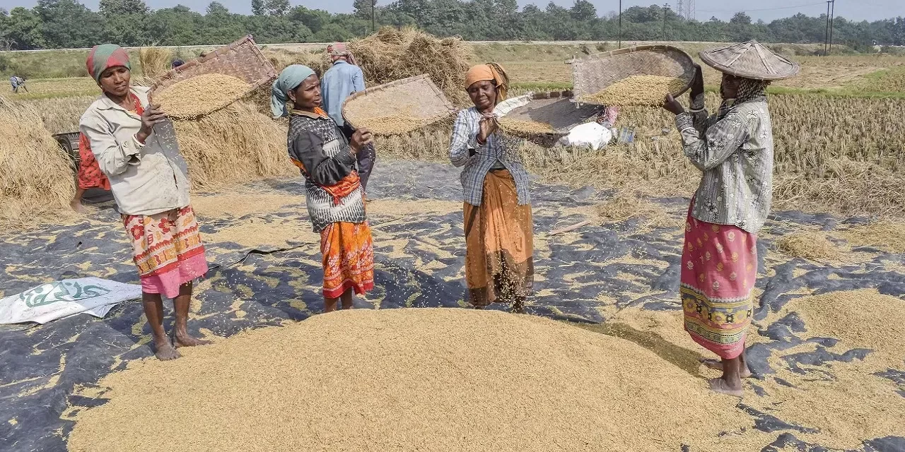 10,000 FPO बनाने का टारगेट पूरा, आखिर इसे क्यों कहते हैं किसानों का स्टार्टअप?